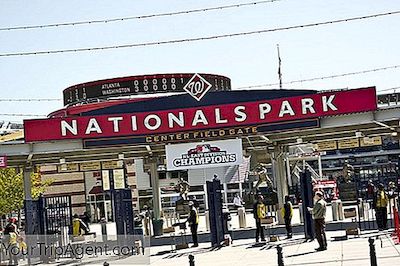 Washington, D.C.'S Profesyonel Spor Takımlarına Hızlı Giriş