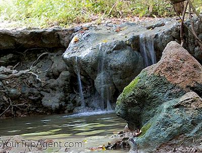 Đi Bộ Ngắm Cảnh Để Đi Bên Ngoài Austin, Texas