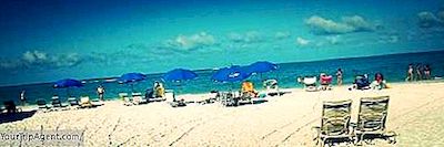 Los 10 Mejores Restaurantes De Siesta Key Que Debes Probar, Florida