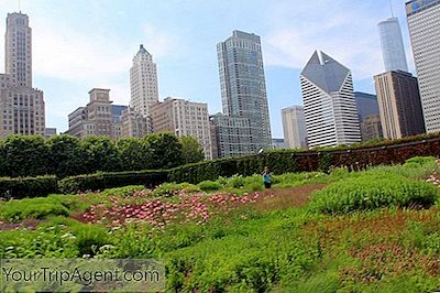 De 10 Vackraste Trädgårdarna Att Fly I Chicago