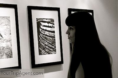 Top 10 Galerii De Fotografie În La