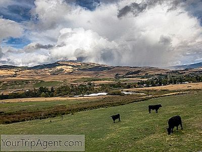 10 Restoran Dan Kafe Terbaik Di Ashland, Oregon