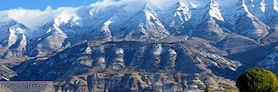 I 10 Migliori Ristoranti Di American Fork, Utah