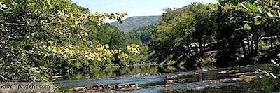 Bryson City, North Carolina의 톱 10 레스토랑