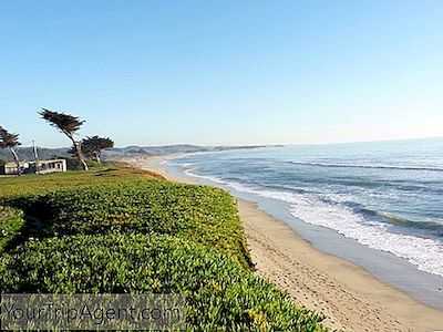 I 10 Migliori Ristoranti Di Half Moon Bay