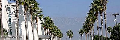 Los 10 Mejores Restaurantes En Ontario, California