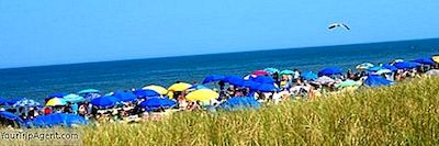 Rehoboth Beach, Delaware, İrlanda Için En İyi 10 Restoran