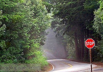Woodside & Portola Valley, California, Çin Için En Iyi 10 Restoran