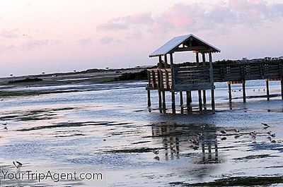 10 Nhà Hàng Hàng Đầu Trên Đảo South Padre, Texas