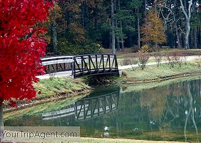 Top 10 Nhà Hàng Bạn Nên Thử Ở Florence, Alabama