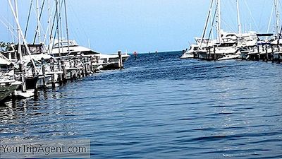 Top 10 Điều Cần Làm Và Nhìn Thấy Trong Coconut Grove, Miami