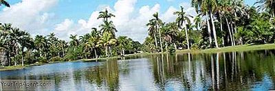 Die Top 10 Dinge Zu Tun Und Zu Sehen In Coral Gables, Miami