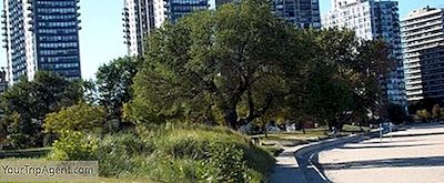 Top 10 Điều Cần Làm Và Nhìn Thấy Ở Edgewater, Chicago