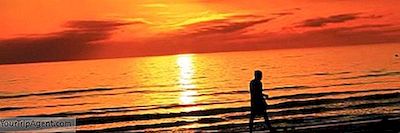 Top 10 Things To Do And See In Fort Myers, Florida