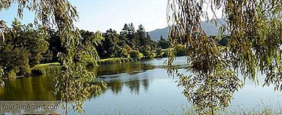 Las 10 Mejores Cosas Que Hacer Y Ver En Los Gatos, California