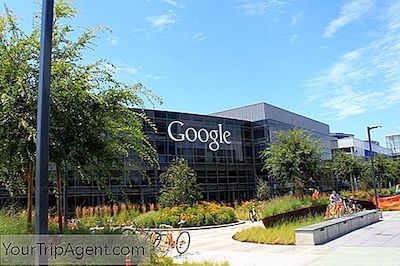 Le 10 Migliori Cose Da Fare A Mountain View, California