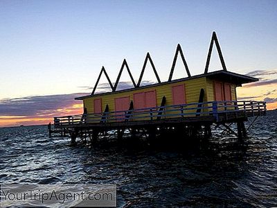 Top 10 Des Choses Insolites À Faire À Miami