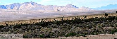 Top Desert Tagesausflüge In Los Angeles, Kalifornien