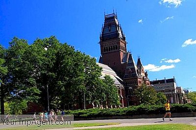 Cambridge, Massachusetts En İyi Restoranları