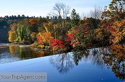 Los Mejores Restaurantes En Dover, New Hampshire