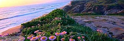 The Ultimate Weekend Road Trip: San Francisco Para Big Sur