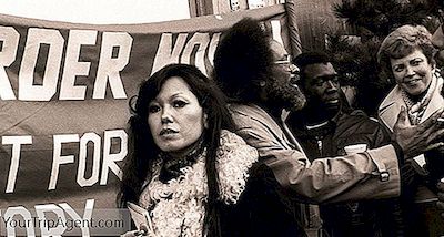 Janice Mirikitaniについて何を知らなかったか