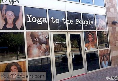 Yoga Per Le Persone: Tutto Ciò Che Devi Sapere
